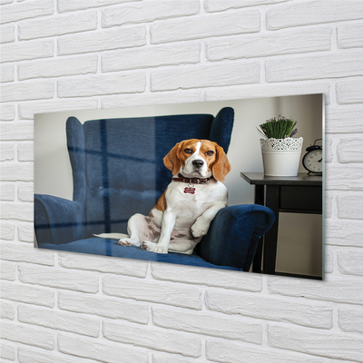 Steklena slika Sedel pes