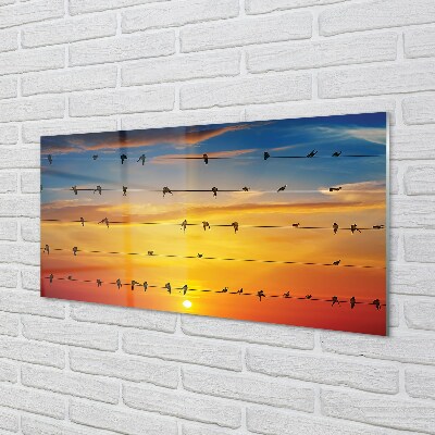 Steklena slika Ptice na vrvi sončnem zahodu