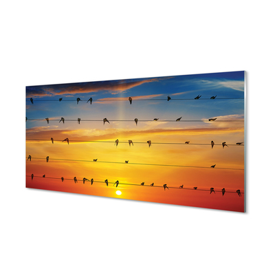 Steklena slika Ptice na vrvi sončnem zahodu