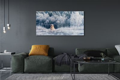 Steklena slika Zimska planšarski pes