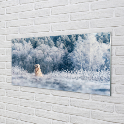Steklena slika Zimska planšarski pes