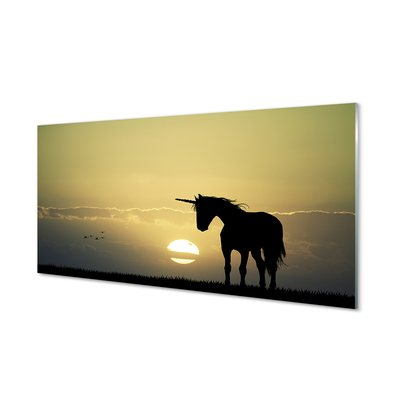 Steklena slika Polje sunset samorog