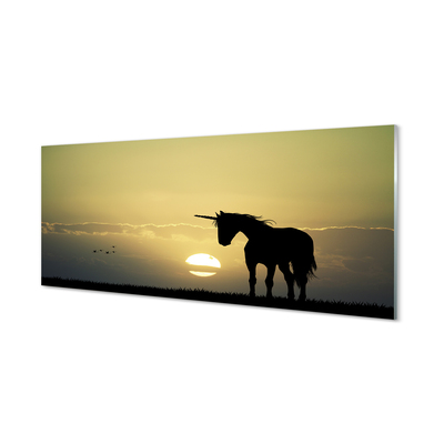 Steklena slika Polje sunset samorog