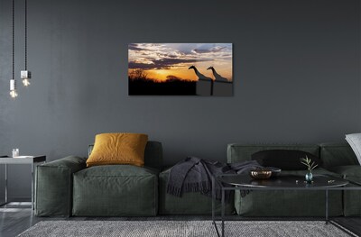 Slika na steklu Žirafe drevo oblaki