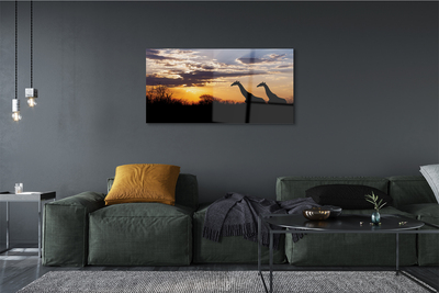 Slika na steklu Žirafe drevo oblaki