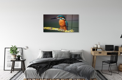 Steklena slika Colorful ptica na veji