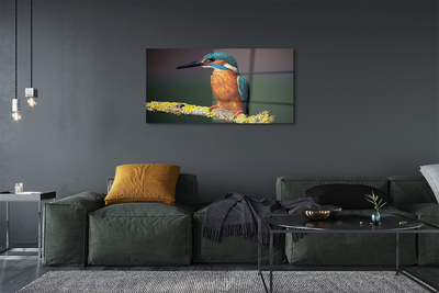 Steklena slika Colorful ptica na veji