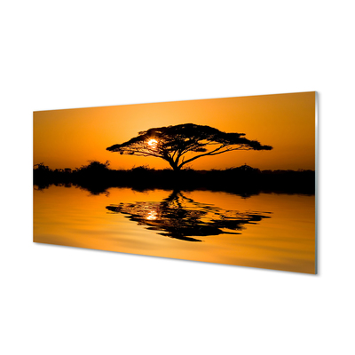 Slika na steklu Sunset drevo