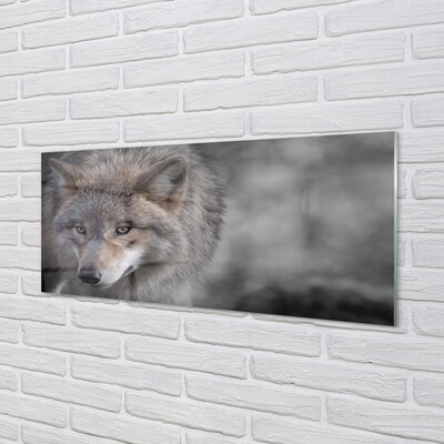 Steklena slika Wolf