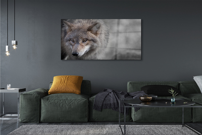Steklena slika Wolf
