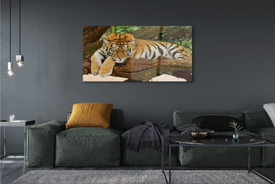 Steklena slika Tiger drevo