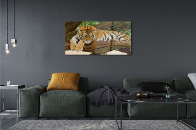 Steklena slika Tiger drevo