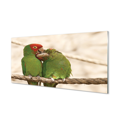 Steklena slika Zelene papige