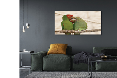 Steklena slika Zelene papige