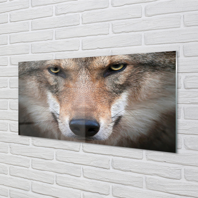 Steklena slika Volk ​​oči