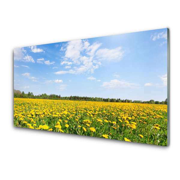 Steklena slika Dandelion travnik