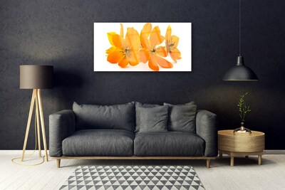 Steklena slika Orange rastlin cvetje