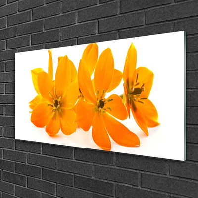 Steklena slika Orange rastlin cvetje
