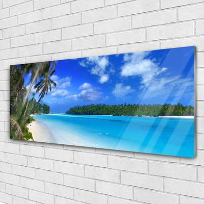 Steklena slika Palm beach sea