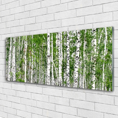 Steklena slika Birch tree forest narava