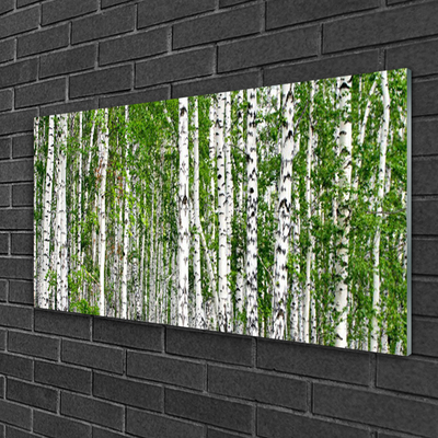 Steklena slika Birch tree forest narava