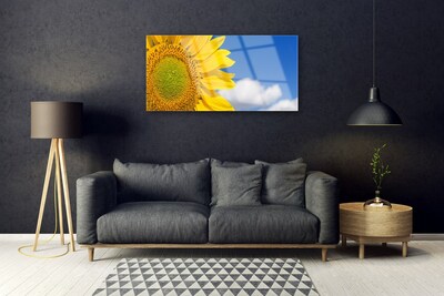 Steklena slika Sončnična heaven oblaki