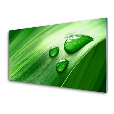 Steklena slika Leaf water drops