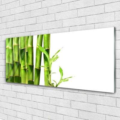 Steklena slika Bamboo rastlin