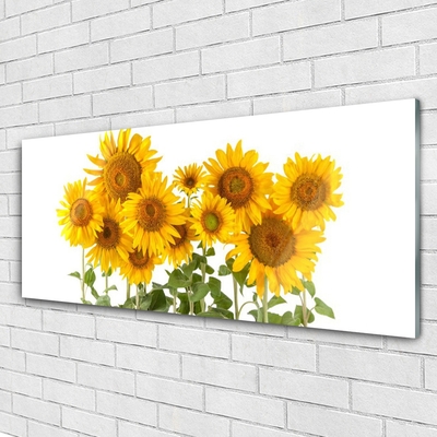 Steklena slika Sončnice rastlin