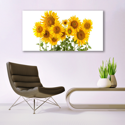 Steklena slika Sončnice rastlin