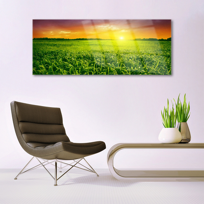 Steklena slika Pšenična polja sunrise