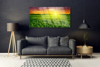 Steklena slika Pšenična polja sunrise