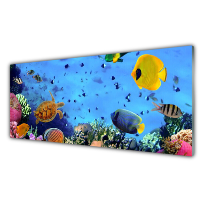 Steklena slika Coral reef fish narava