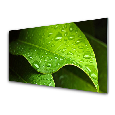 Steklena slika Dew drops leaf