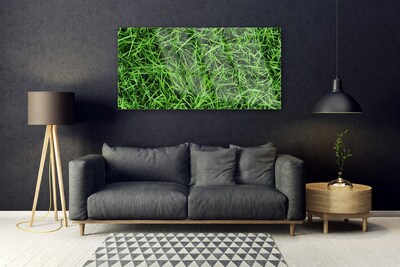 Steklena slika Trava lawn