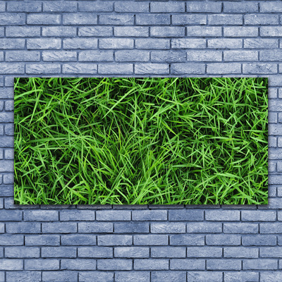 Steklena slika Trava lawn
