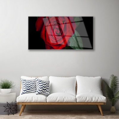 Steklena slika Rose na wall