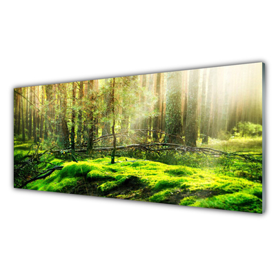 Steklena slika Forest moss narava