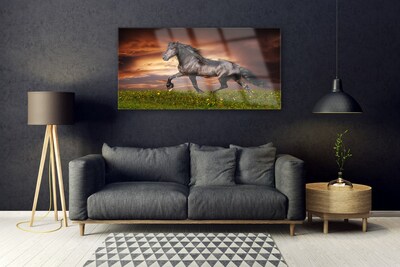 Steklena slika Črna horse meadow živali