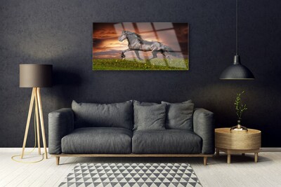 Steklena slika Črna horse meadow živali