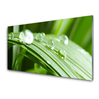 Steklena slika Leaf dew drops