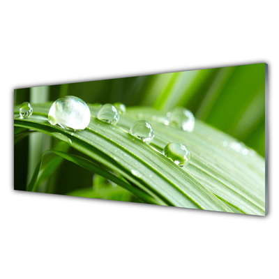 Steklena slika Leaf dew drops