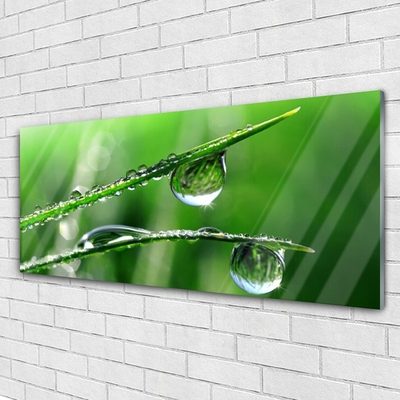 Steklena slika Grass dew drops