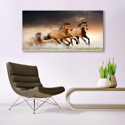 Steklena slika Konji živali