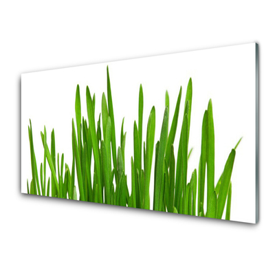 Steklena slika Grass on wall