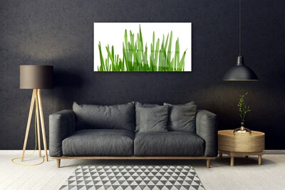 Steklena slika Grass on wall