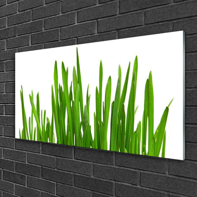 Steklena slika Grass on wall