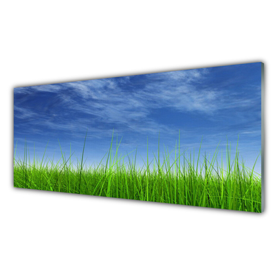 Steklena slika Sky grass nature rastlin