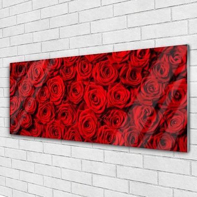 Steklena slika Roses na wall