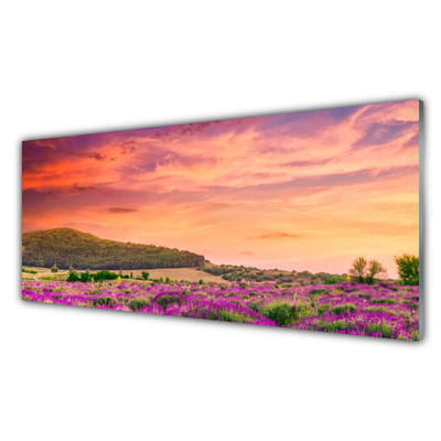 Steklena slika Cvetje travnik landscape